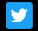 Twitter Logo