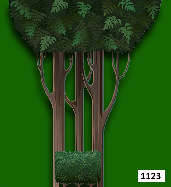 2017 Forest Leg