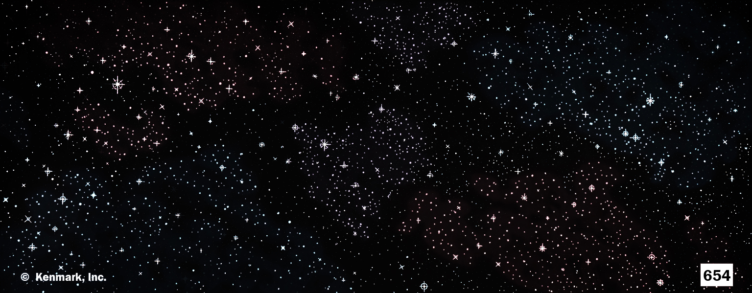 1561 Starry Night