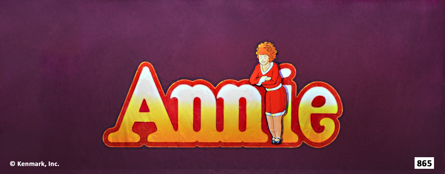 ED865 Annie Act Curtain 20' x 48'