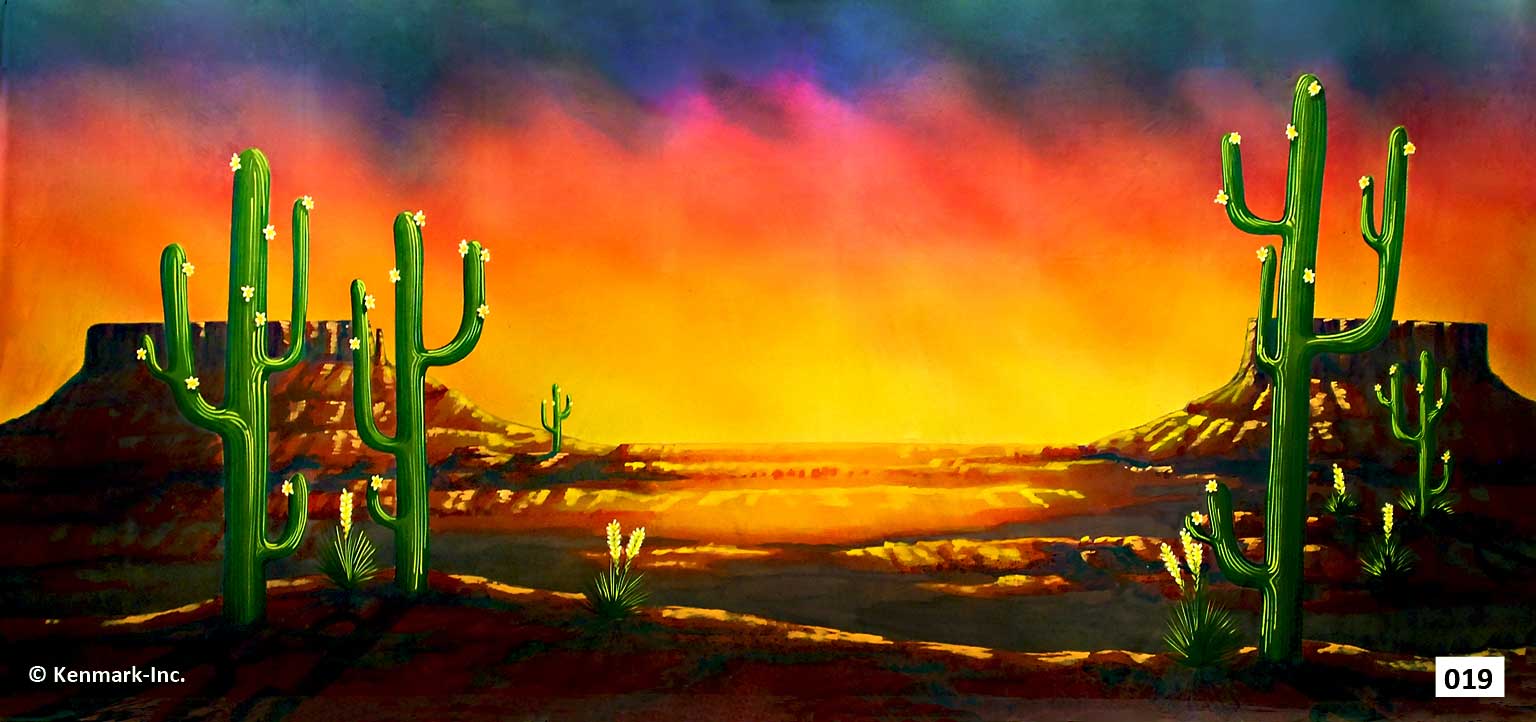 70 Southwestern Desert