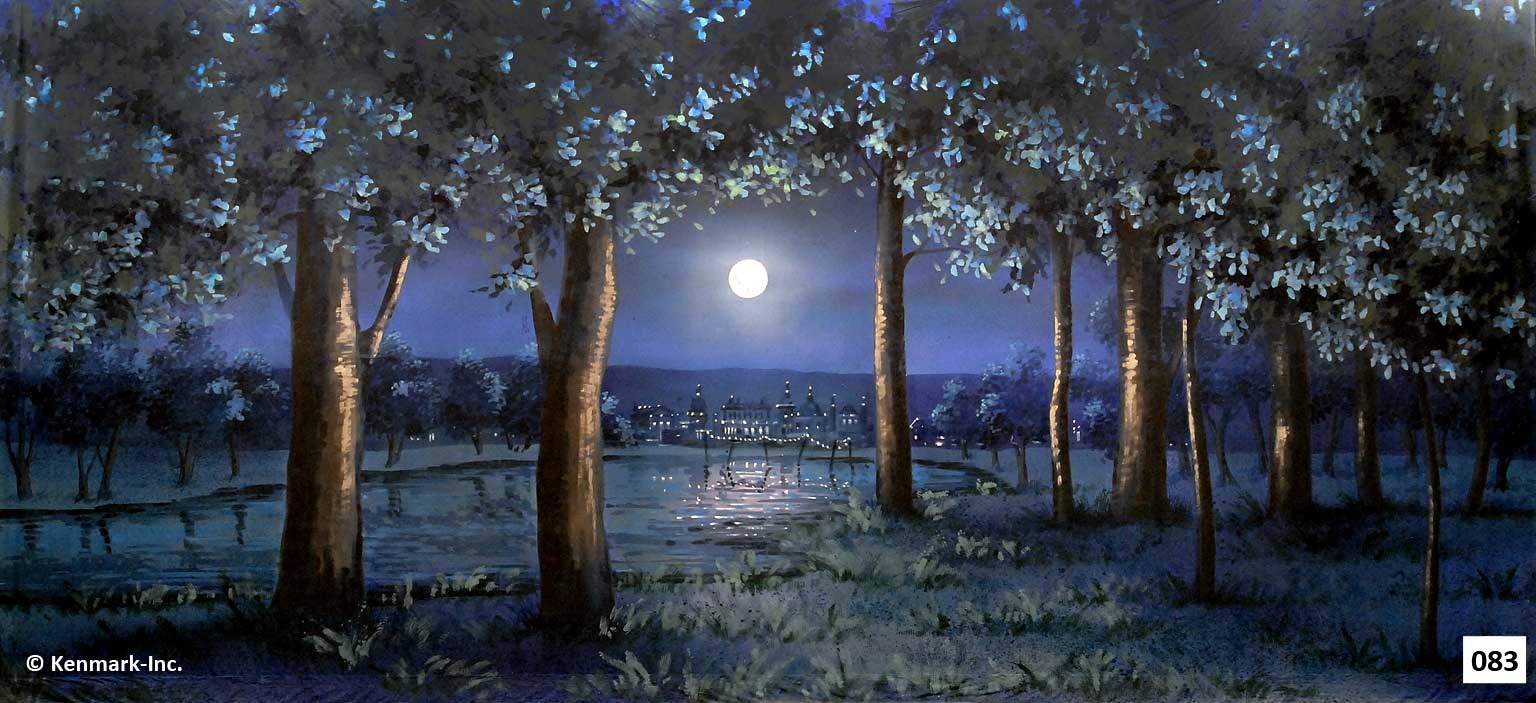 125 Forest at Night