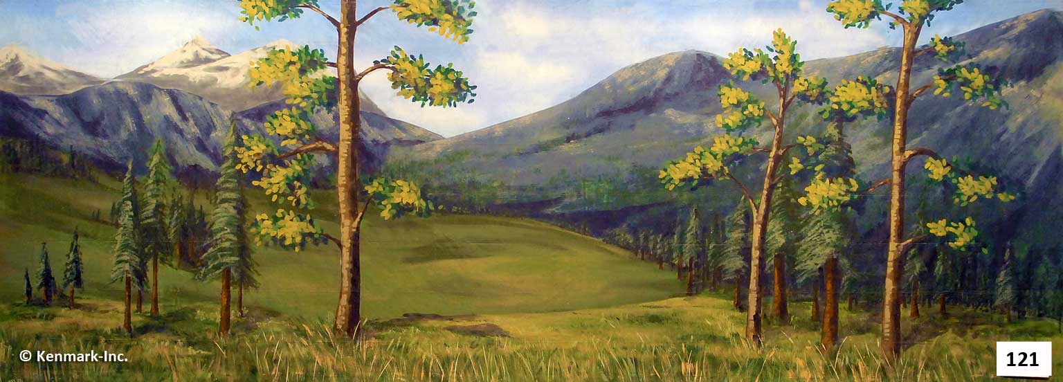 159 Mountain Forest