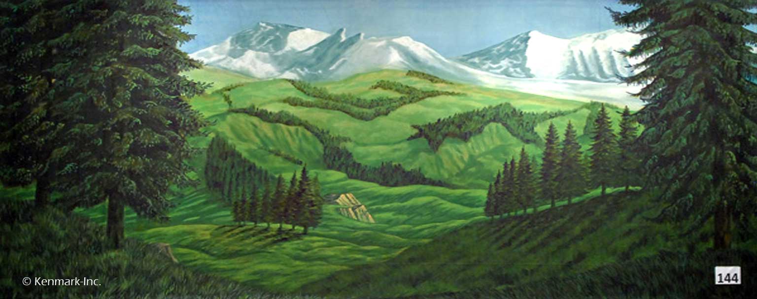 D144 Swiss Alps