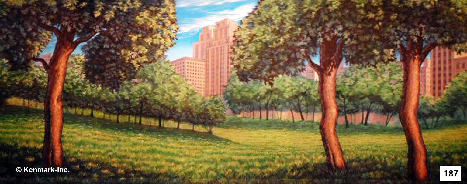 221 Central Park