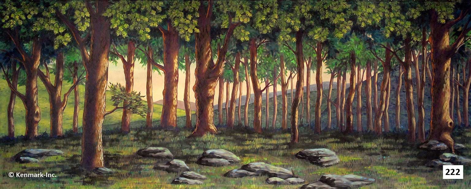 255 Forest