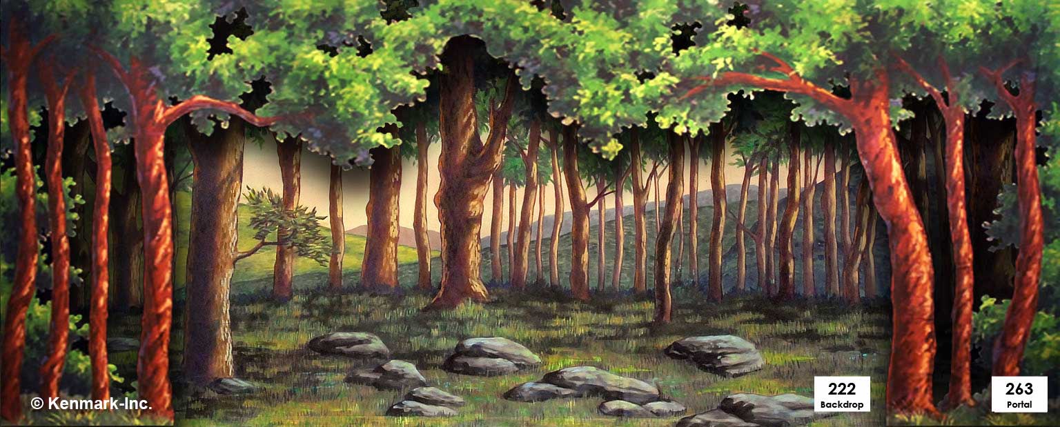 D222 Forest