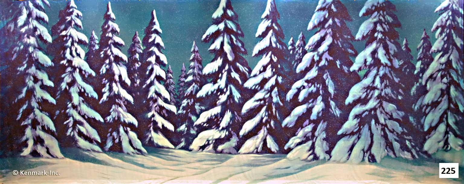 258 Snow Forest