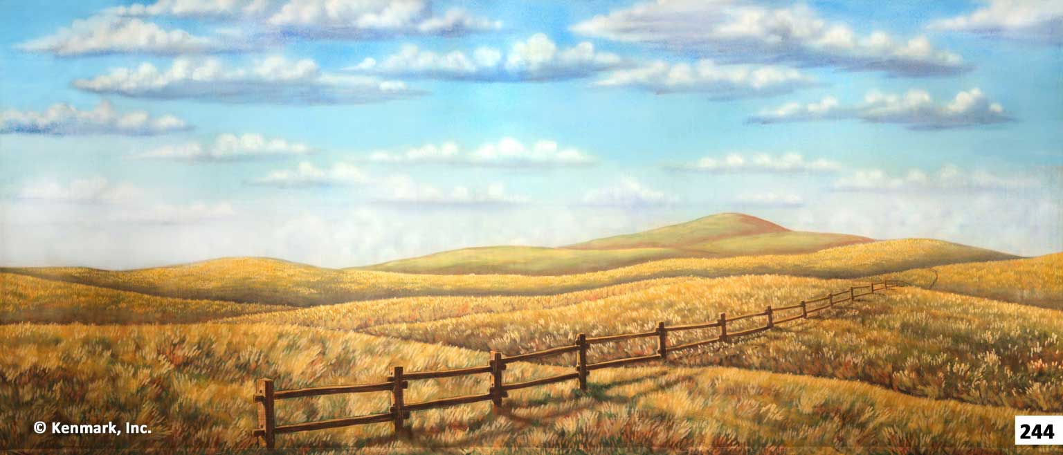 277 Wheat Fields