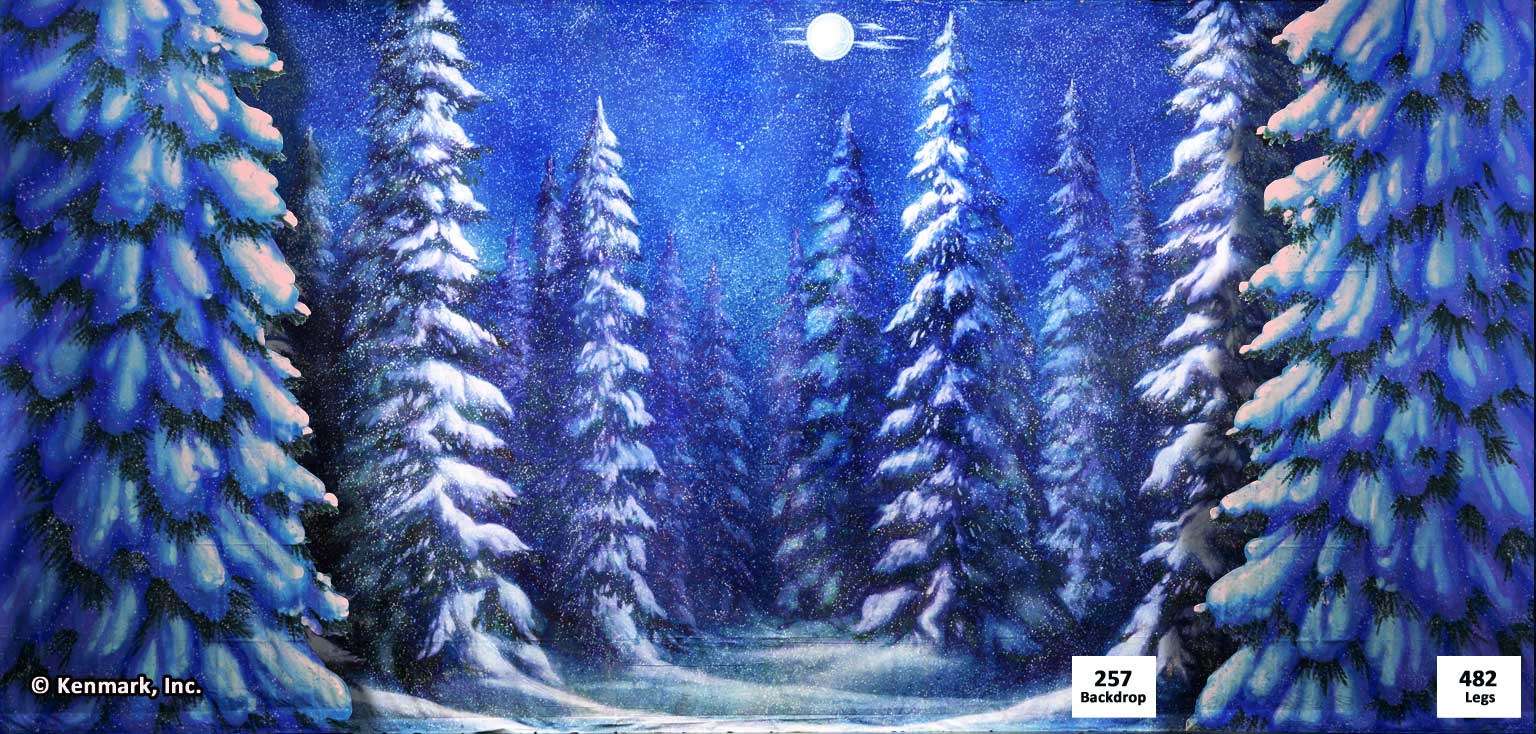 290 Snow Forest