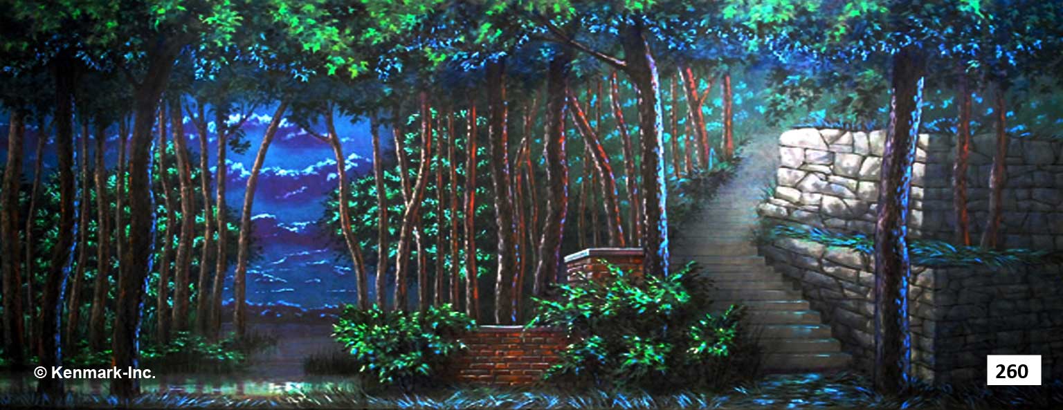 293 Park at Night