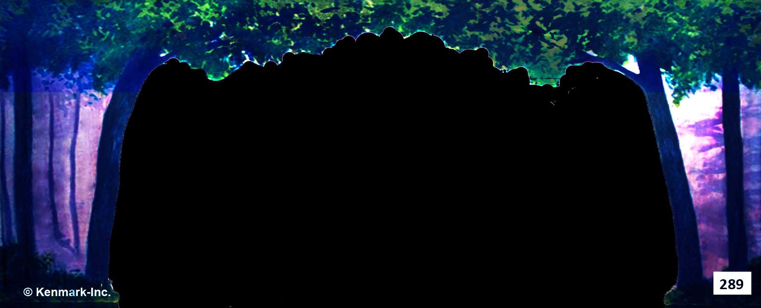 317 Park at Night Portal