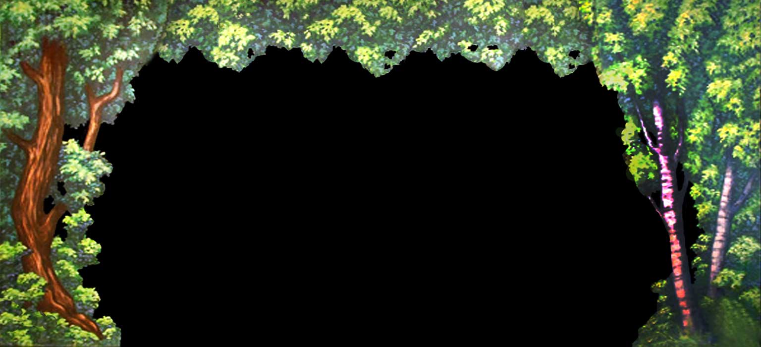 372 Forest Border and Legs