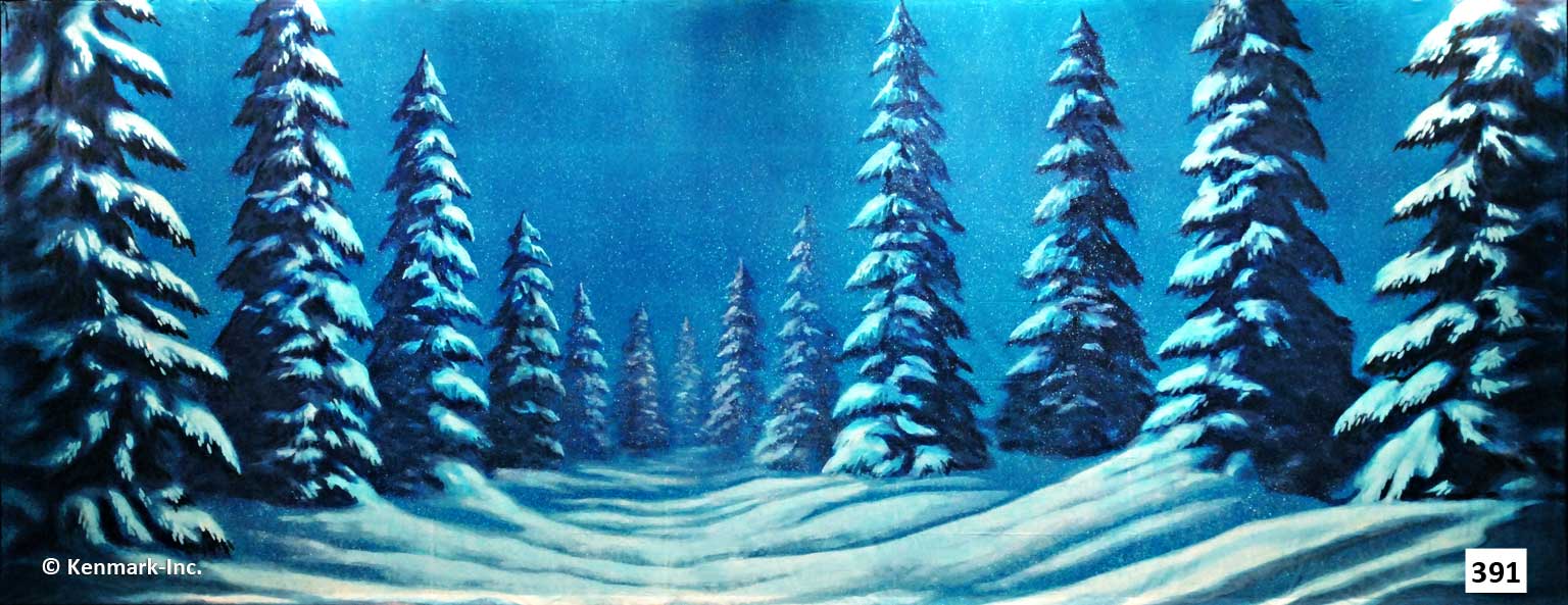 408 Snow Forest