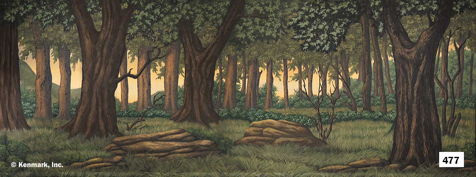 470 Golden Forest