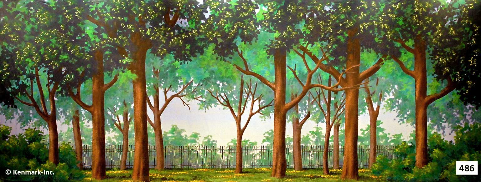 ED486 Park