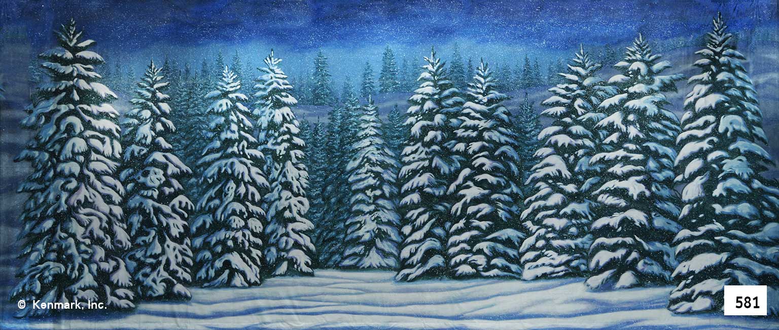 503 Snow Forest