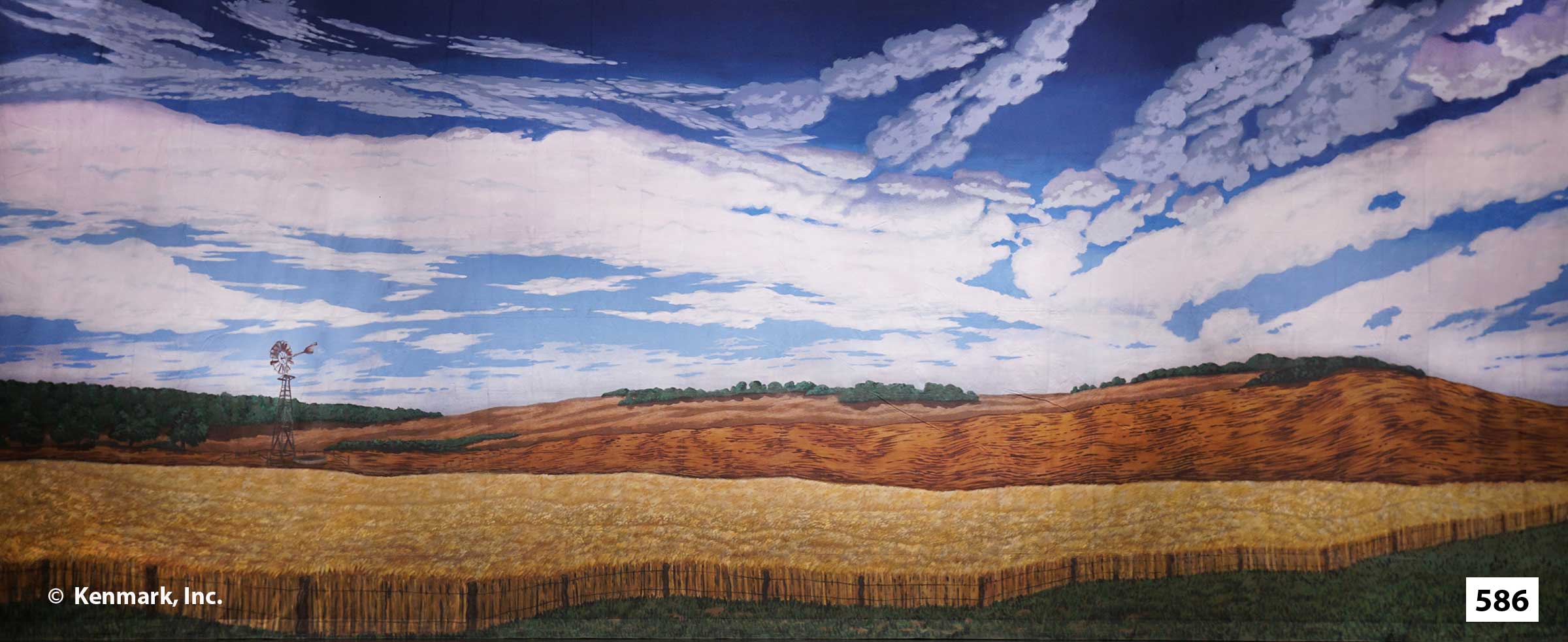 ED586 Wheat Field Color