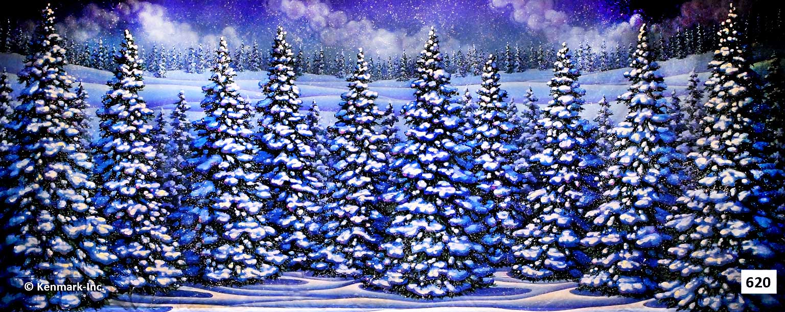 1405 Snow Forest