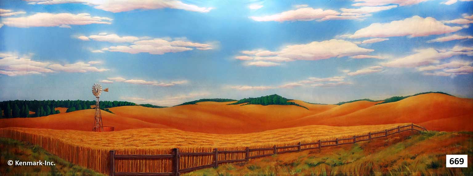 ED669 Wheat Field Color