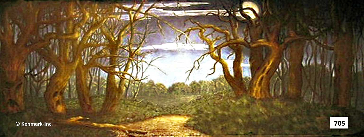 ED705 Forest