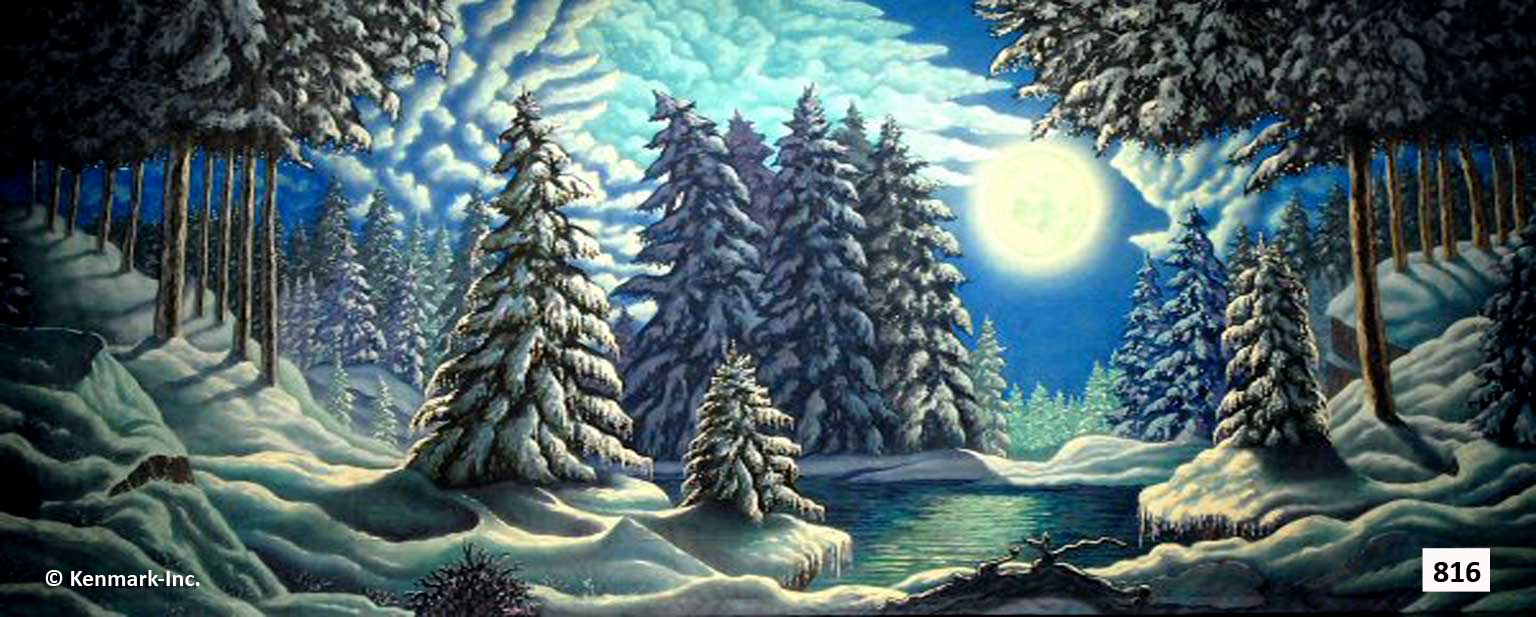 1456 Snow Forest