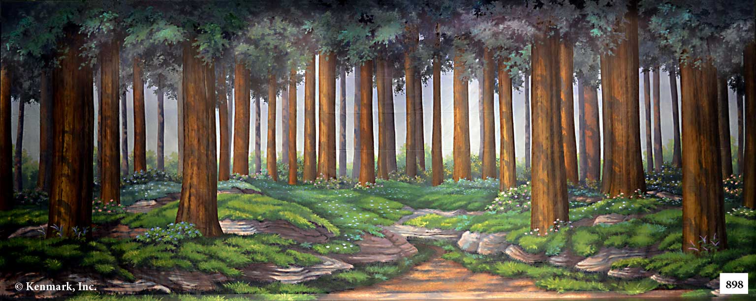 ED898 Forest Tall Trees
