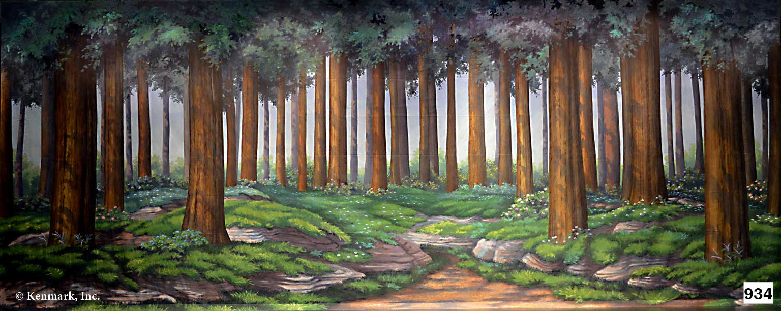 ED934 Forest Tall Trees
