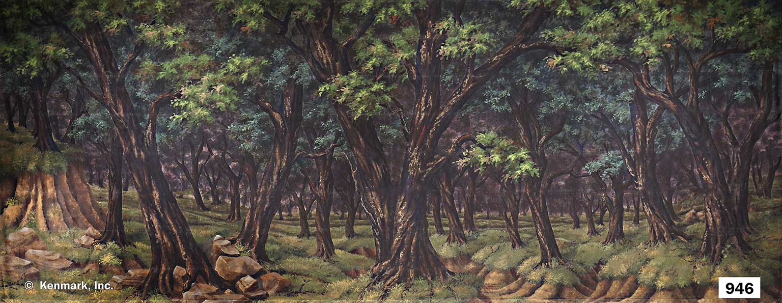 1491 Dark Forest